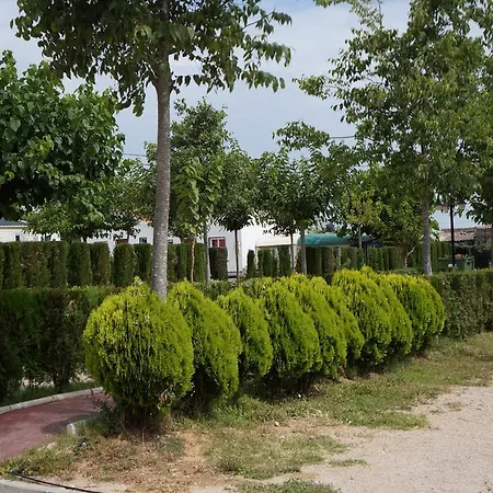مكان تخييم Pinos