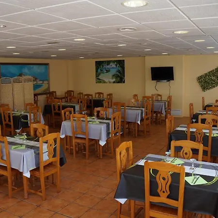 Pinos Peñíscola