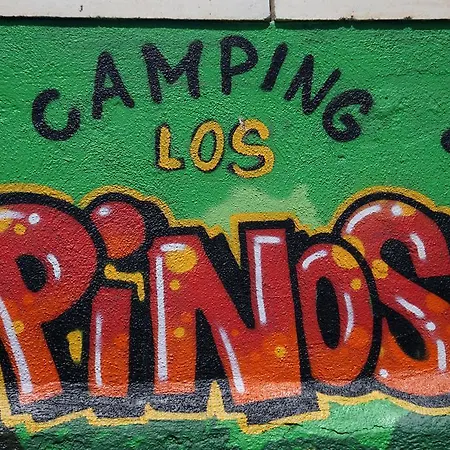 Pinos